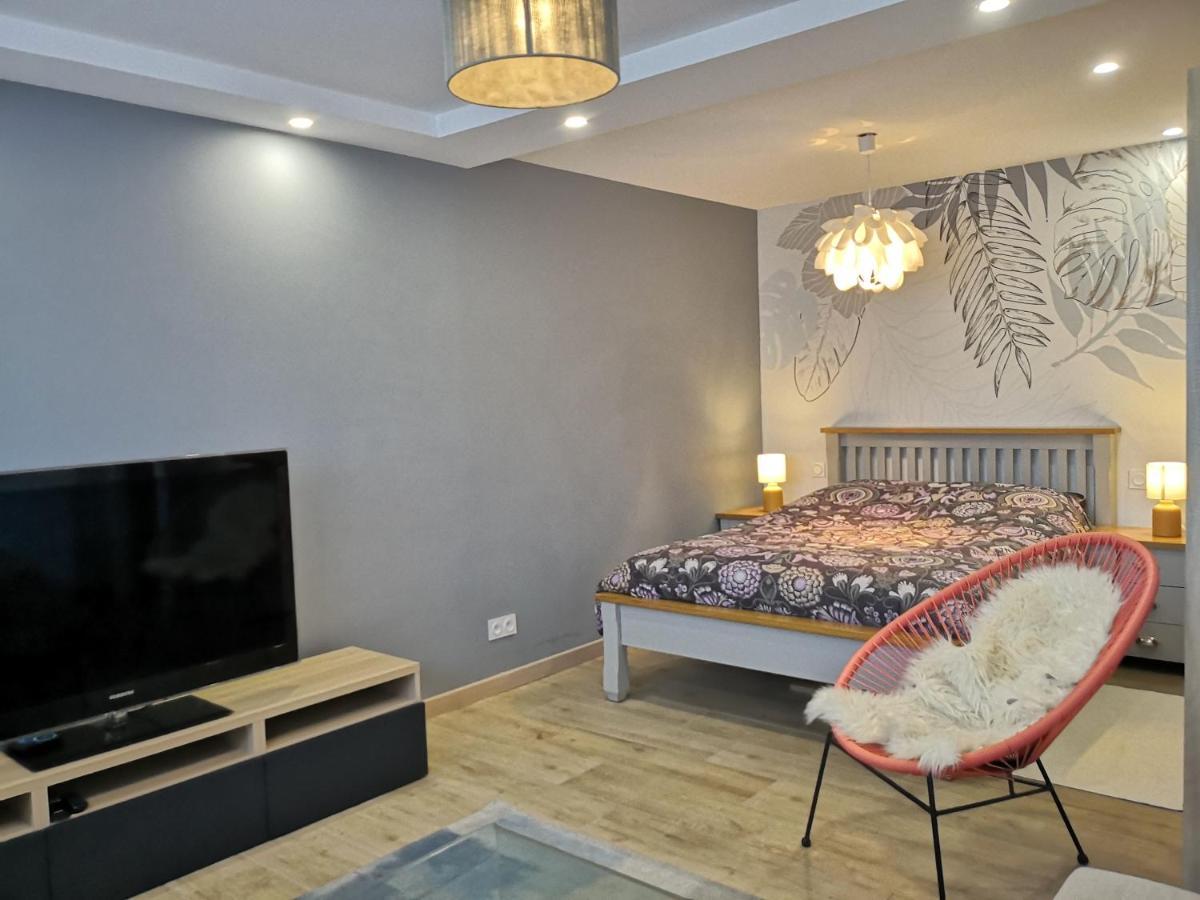 Superbe cosy T1 Bis Studio 40m2 indépendant en maison Caluire-et-Cuire Extérieur photo
