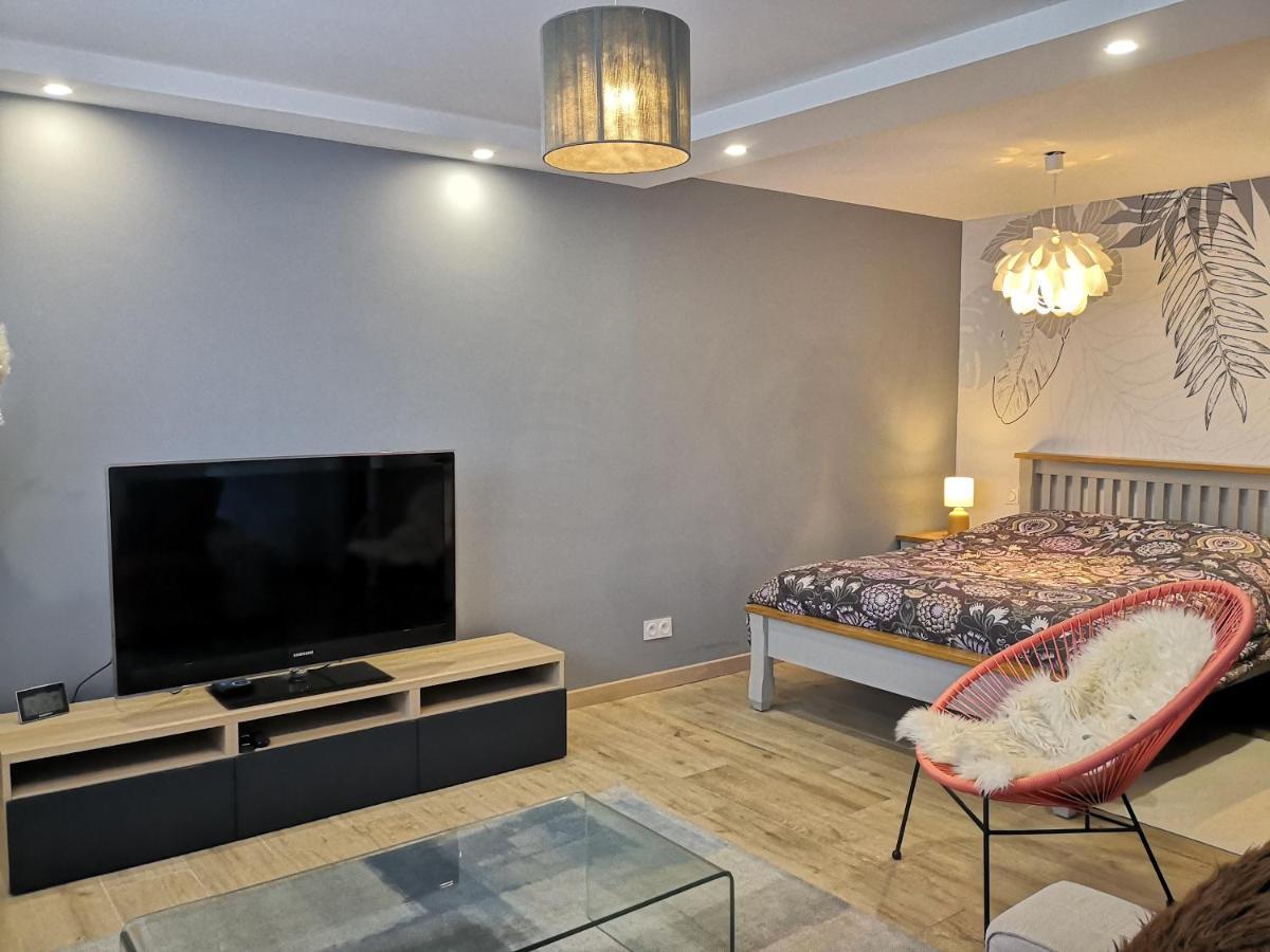 Superbe cosy T1 Bis Studio 40m2 indépendant en maison Caluire-et-Cuire Extérieur photo