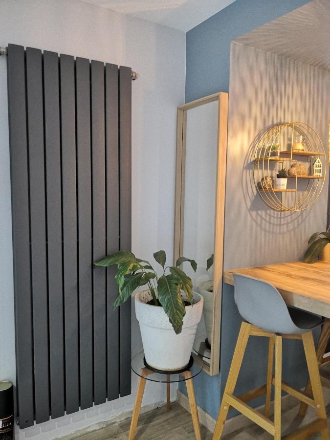 Superbe cosy T1 Bis Studio 40m2 indépendant en maison Caluire-et-Cuire Extérieur photo